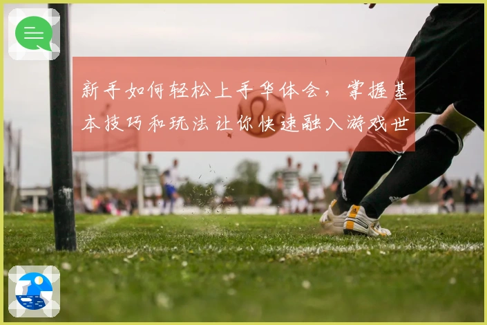 新手如何轻松上手华体会，掌握基本技巧和玩法让你快速融入游戏世界